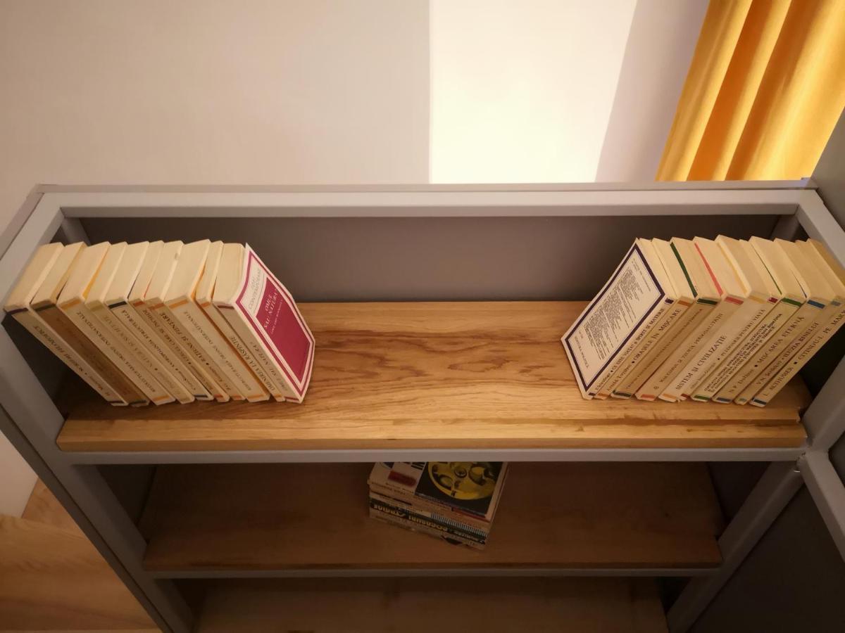 Codicei Studio براشوف المظهر الخارجي الصورة